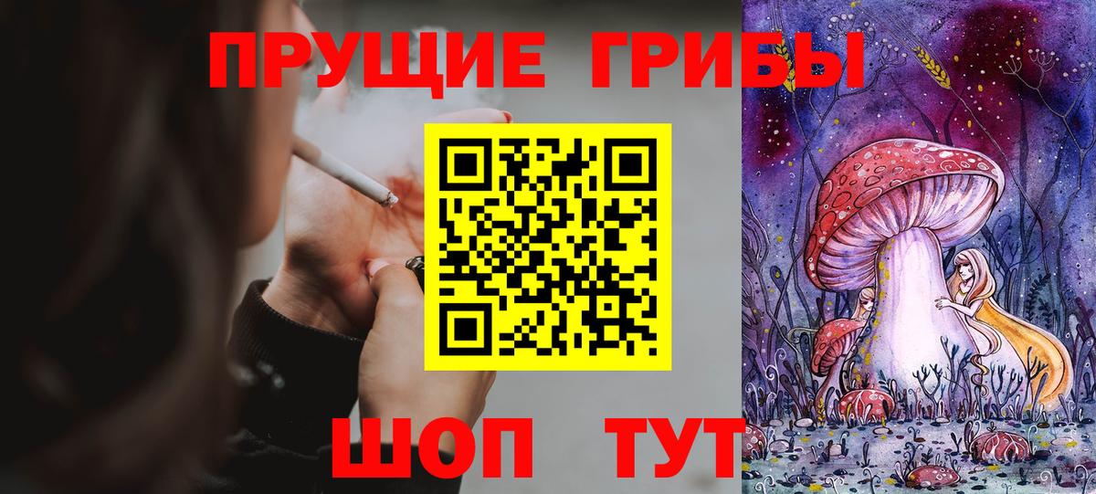 Галлюциногенные грибы Psilocybe  Вход с VPN  Псилоцибиновые грибы прущие грибы  Печора 